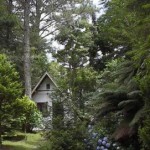 pousada-e-parque-das-sequoias